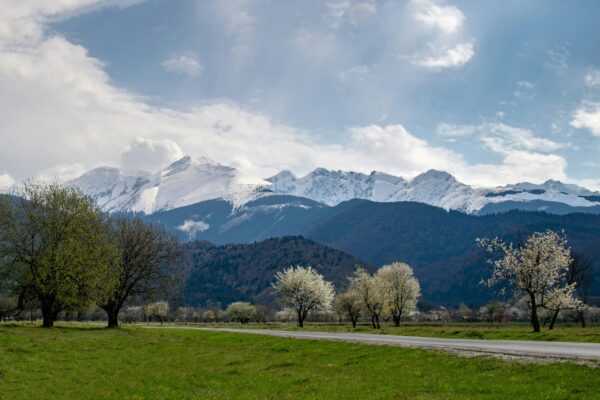 Spring Landscape Spring Landscape